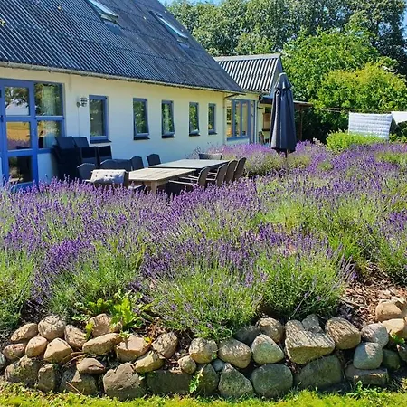 Rolso Retreat Knebel